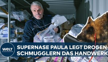 KÖLN/BONN: Sechs Tonnen Drogen am Flughafen sichergestellt - Spürhund im Einsatz gegen Dealer!