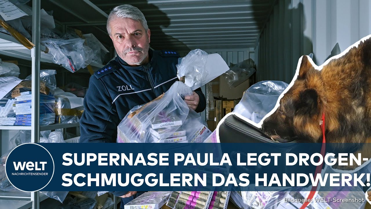 KÖLN/BONN: Sechs Tonnen Drogen am Flughafen sichergestellt - Spürhund im Einsatz gegen Dealer!