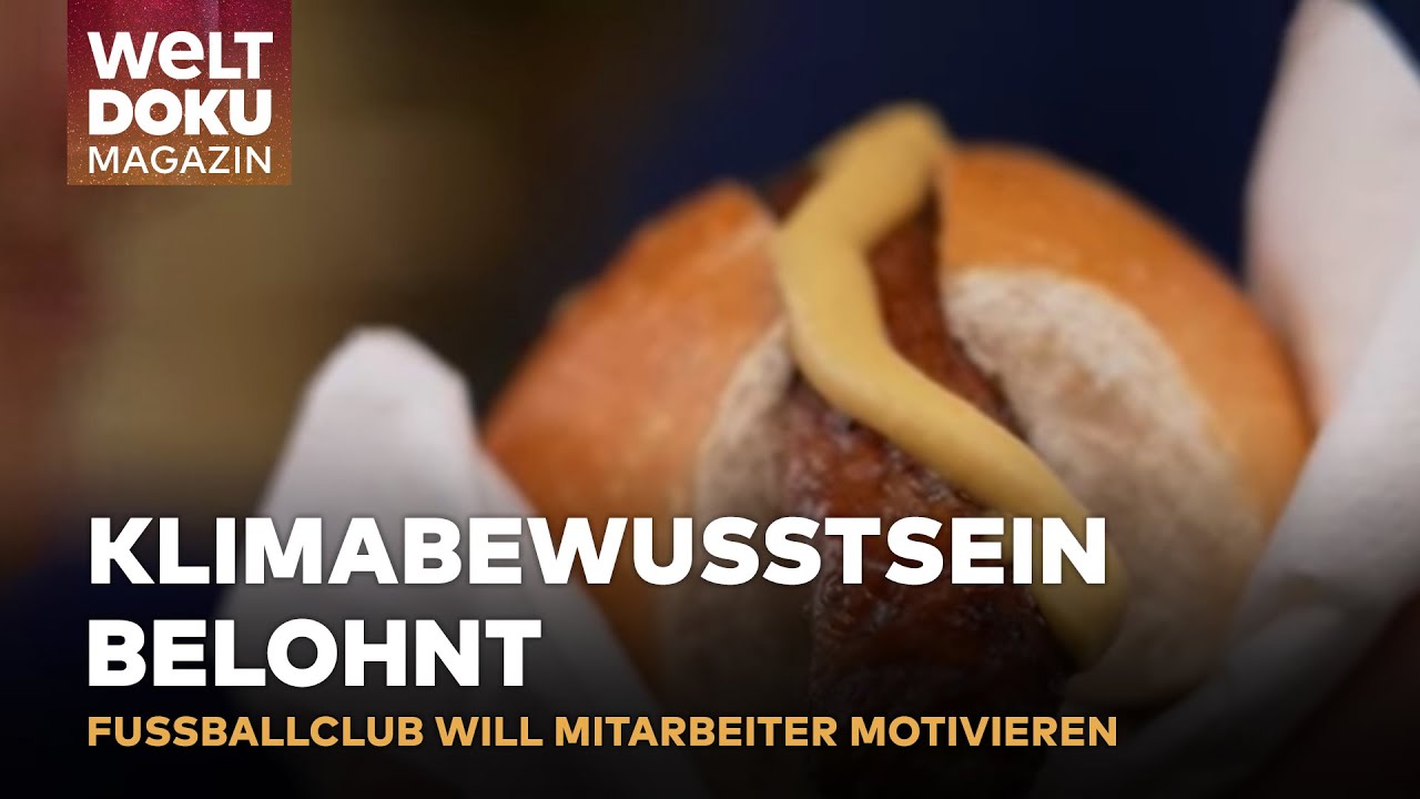 VFL OSNABRÜCK: Fleischeslust im Abseits? Kontroverse um CO2-Klausel im Arbeitsvertrag