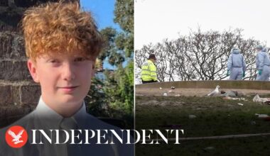 Forensics search London's Primrose Hill after 16-year-old killed on New Year's Eve