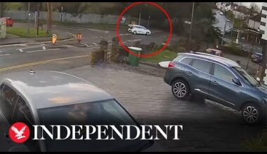 Car narrowly misses being hit by falling tree as UK battered by Storm Henk