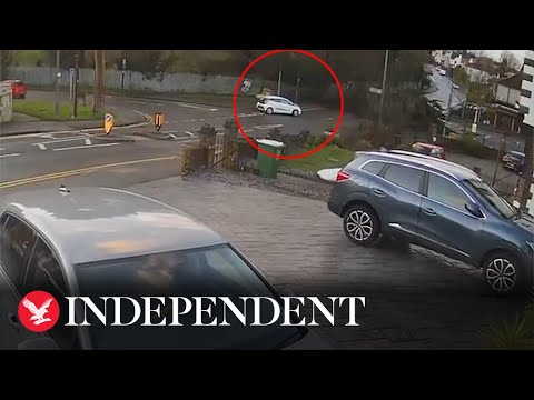 Car narrowly misses being hit by falling tree as UK battered by Storm Henk
