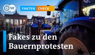 Faktencheck: Diese Fakes kursieren zu den Bauernprotesten | DW Nachrichten
