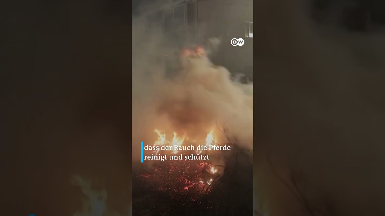 "Las Luminarias" Spanische Tradition jagt Pferde durchs Feuer | DW Nachrichten