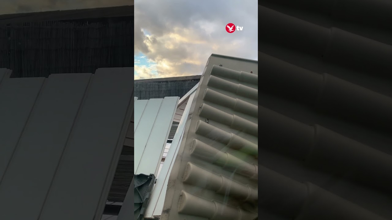 Garden shed collapses as Storm Henk brings 69mph winds in London #shorts #weather #storm #climate