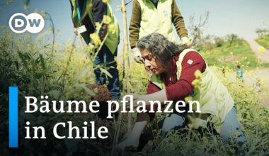 Wie sich Santiago de Chile gegen den Klimawandels wehrt | Global Us