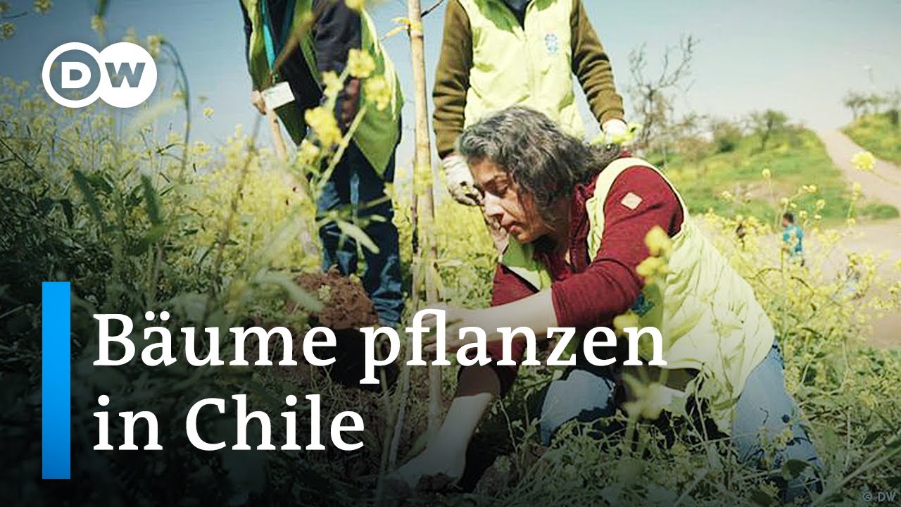 Wie sich Santiago de Chile gegen den Klimawandels wehrt | Global Us