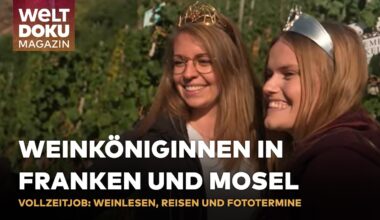 WEINKÖNIGINNEN BEI DER ERNTE: Königinnen von der Mosel und Franken ernten Riesling des Jahres