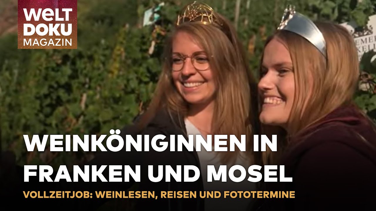 WEINKÖNIGINNEN BEI DER ERNTE: Königinnen von der Mosel und Franken ernten Riesling des Jahres