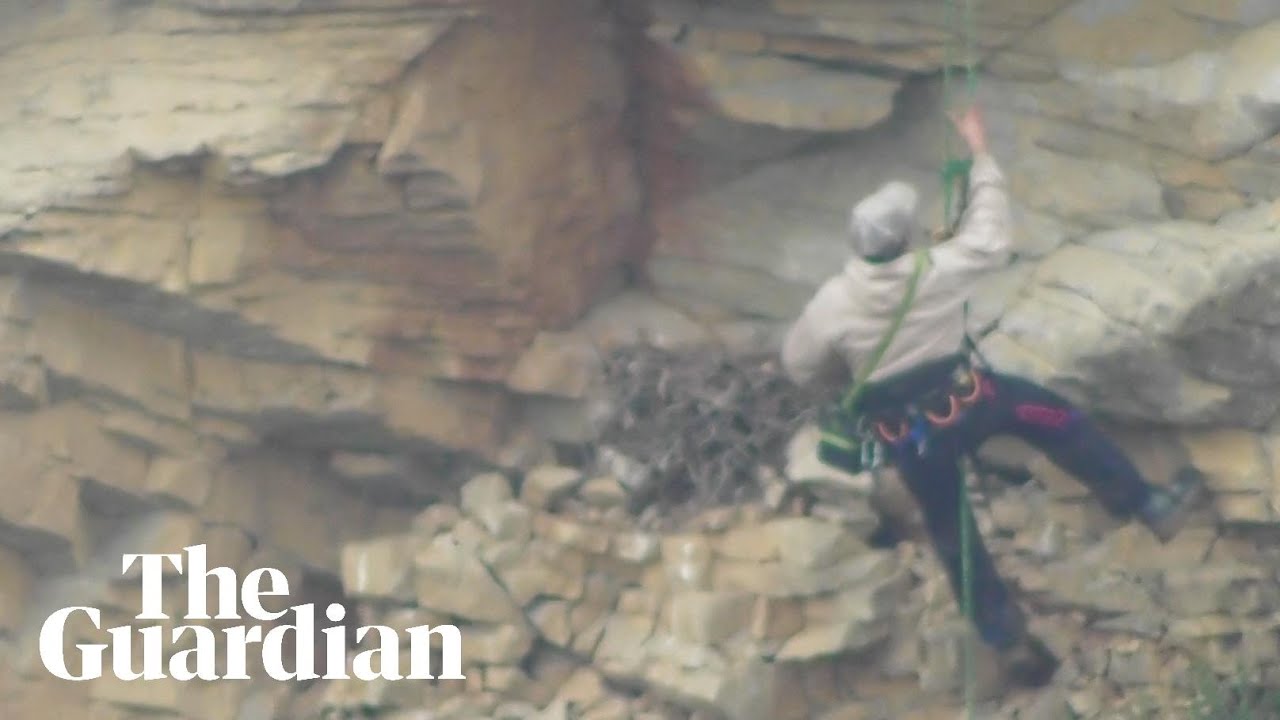 Derbyshire man caught on camera stealing peregrine falcon eggs