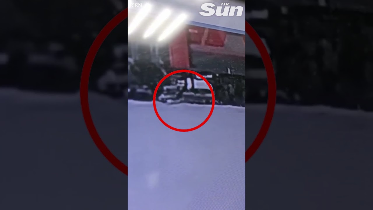 Shocking moment train conductor throws cat off train in freezing conditions in Russia