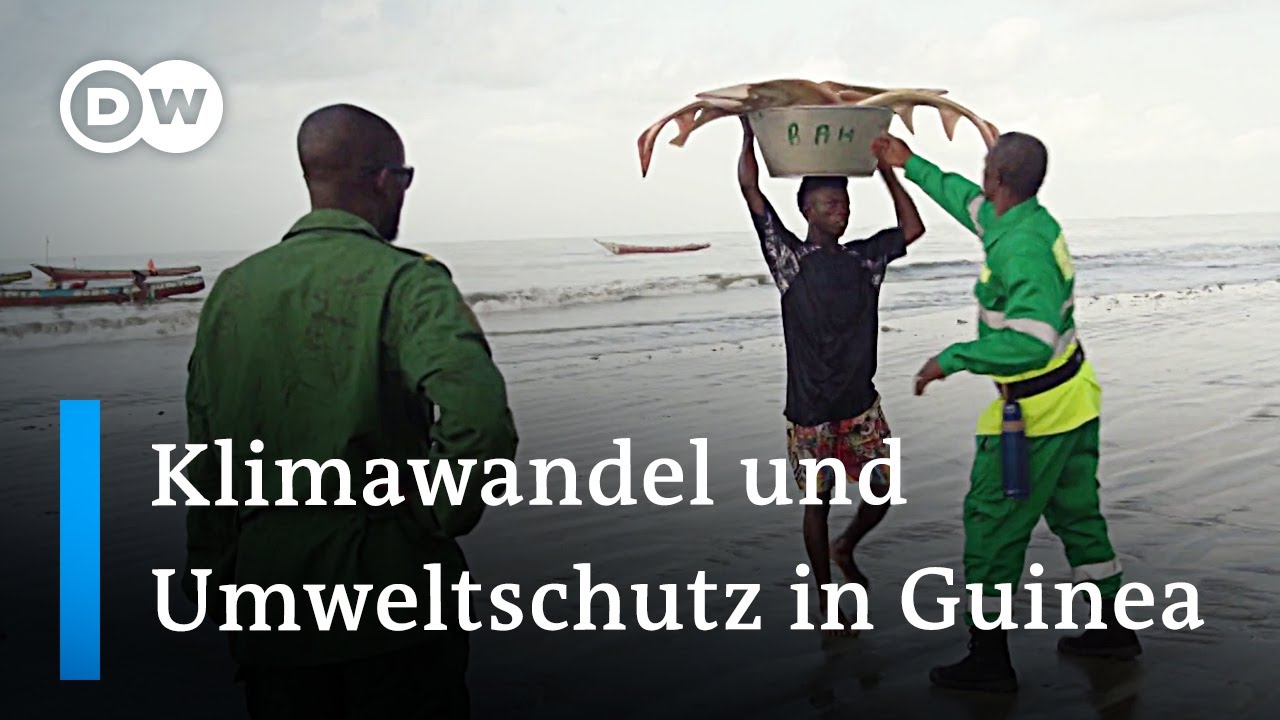 Wie die Einwohner der Tristao-Inseln Guineas die Artenvielfalt erhalten wollen