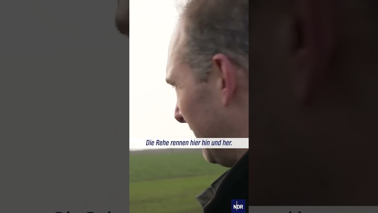 Extremes Hochwasser in Niedersachsen: Angst um die Rehe #ndrdoku