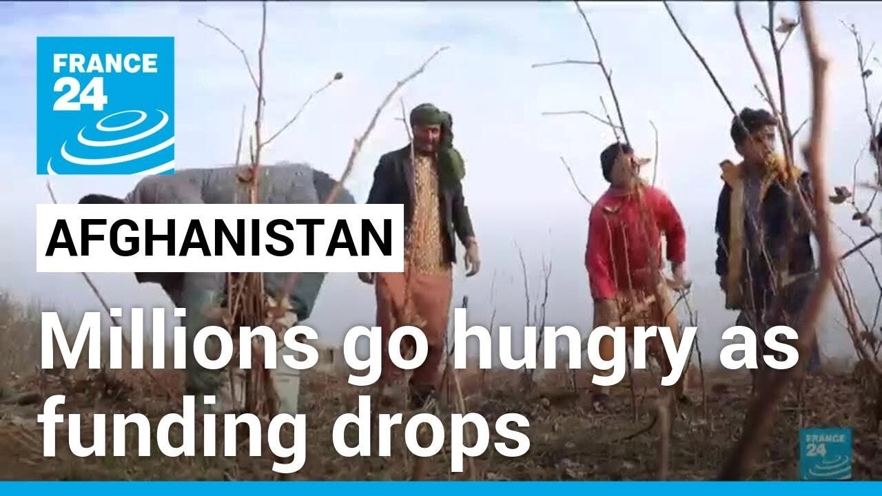 Millions of Afghans cold and hungry amid funding shortages • FRANCE 24 English