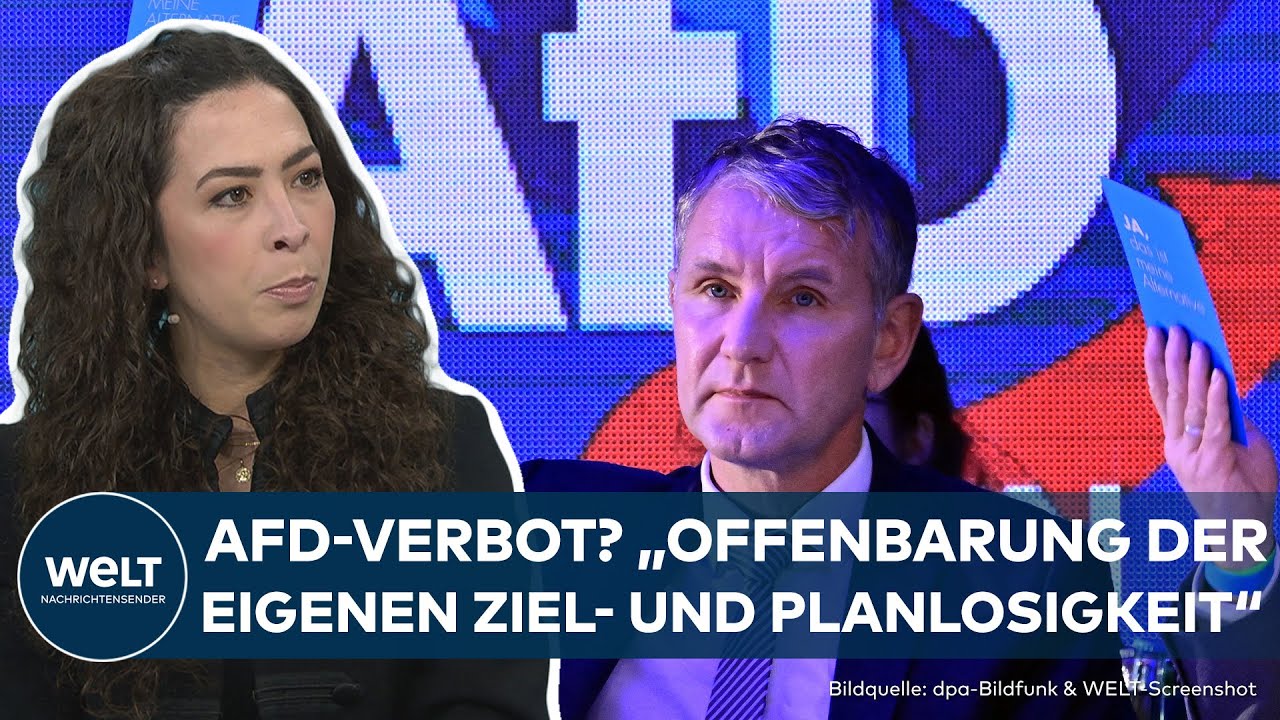 AFD: "Irrsinn, jemandem die Grundrechte zu entziehen" – Verbot und Höcke-Pedition würden AFD nutzen