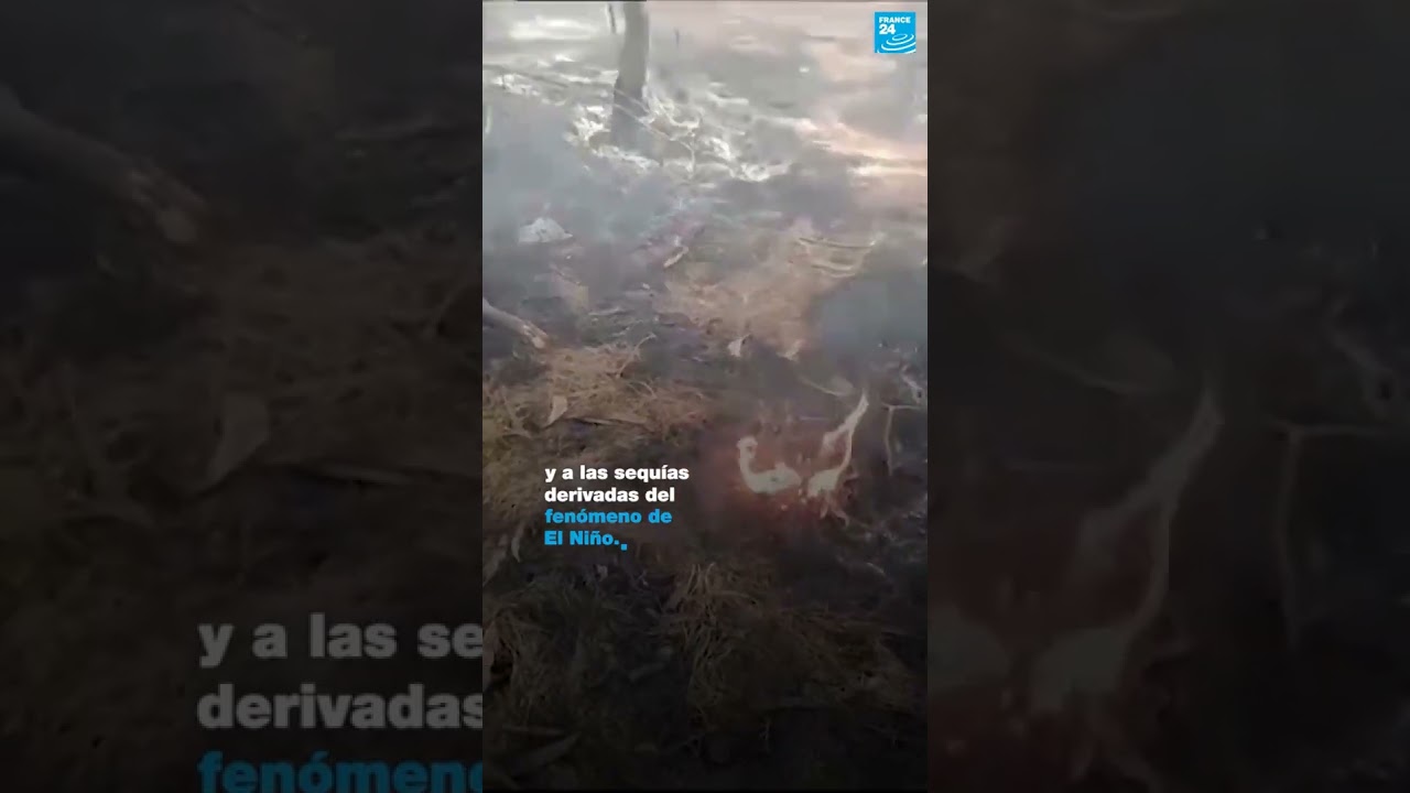 2/2 ▶️ Colombia asolada por los incendios forestales
