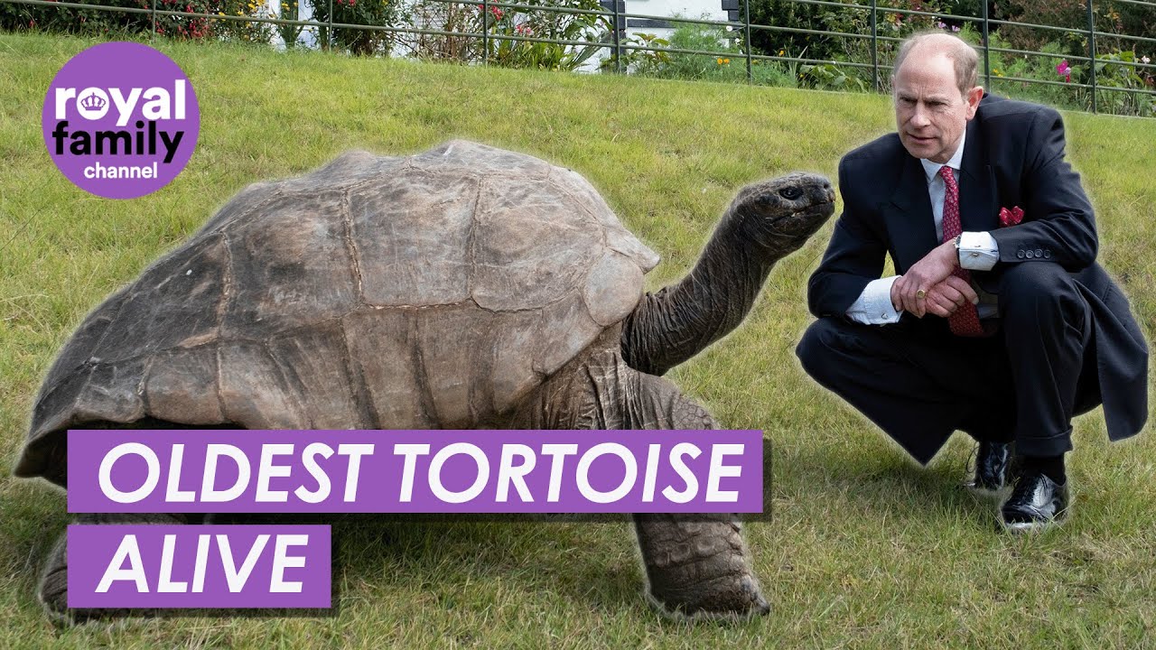 Prince Edward Comes Face to Face With Oldest Tortoise