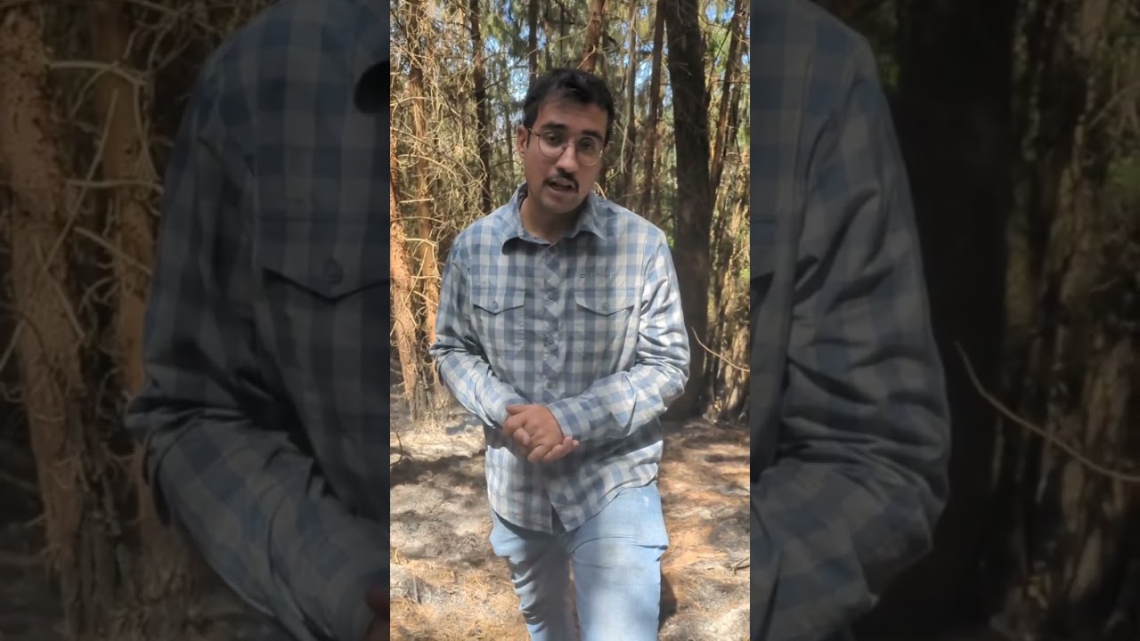 Colombia sigue luchando contra los incendios forestales