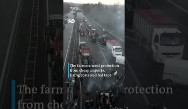 French farmers continue their protests against the government | DW Shorts