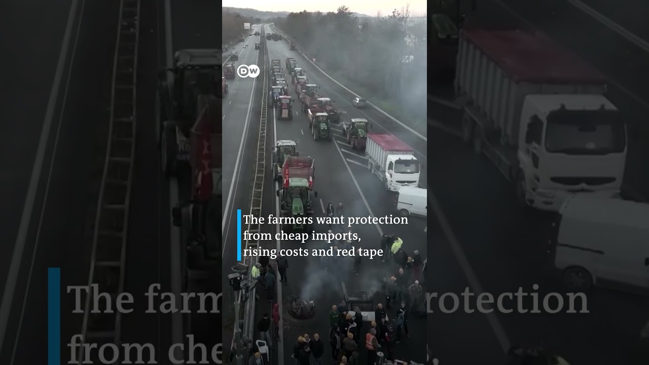 French farmers continue their protests against the government | DW Shorts