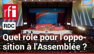 RDC : quelle représentativité & quel rôle pour l’opposition à l’Assemblée nationale ? • RFI