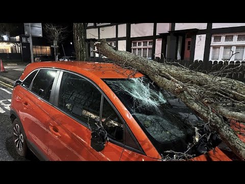 Tempête Isha : fortes perturbations en Irlande et au Royaume-Uni