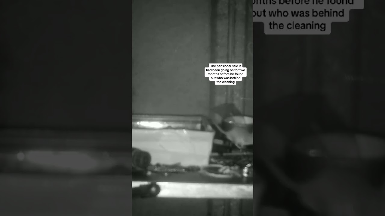 Camera catches mouse-proud rodent tidying man's shed