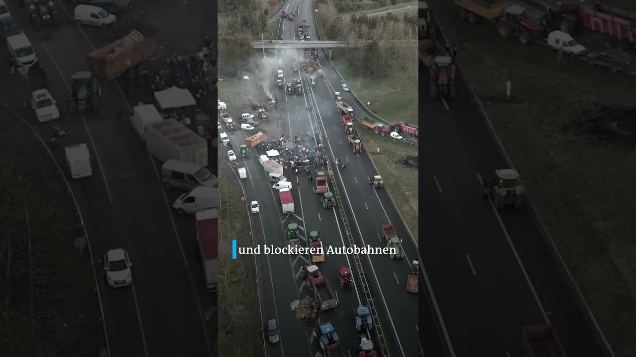 Landwirte in Frankreich protestieren | DW Shorts