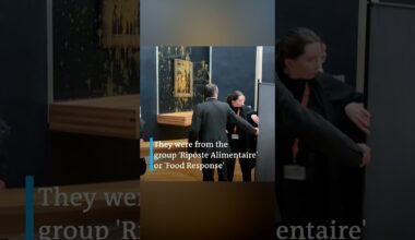 Activists throw soup at Mona Lisa in Paris | DW News