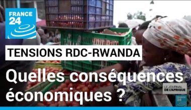 Tensions entre la RDC et le Rwanda : quelles conséquences économiques sur la population ?