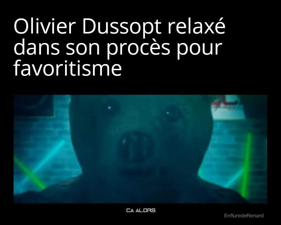 Même nounours est surpris