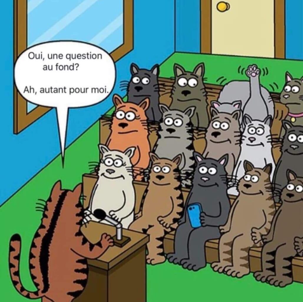 Chat alors !