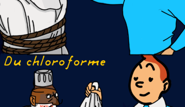 Meme journalier