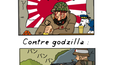 Meme journalier