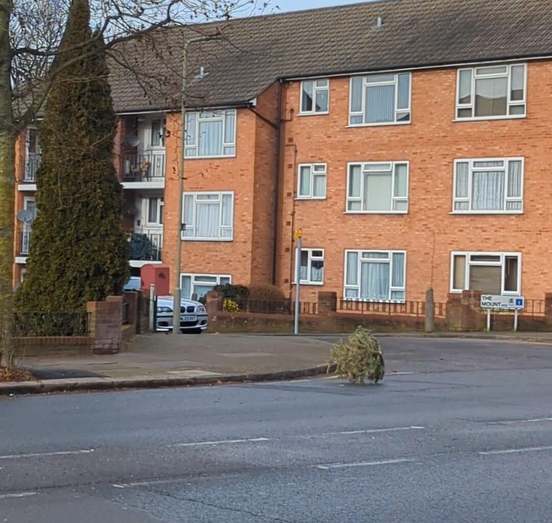 Tumbleweed found in London