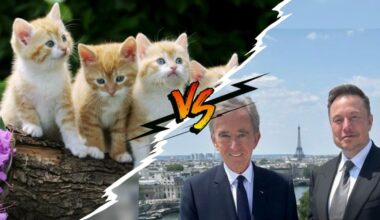 Nos chats sont-ils des terreurs écologiques ? - Frustration Magazine