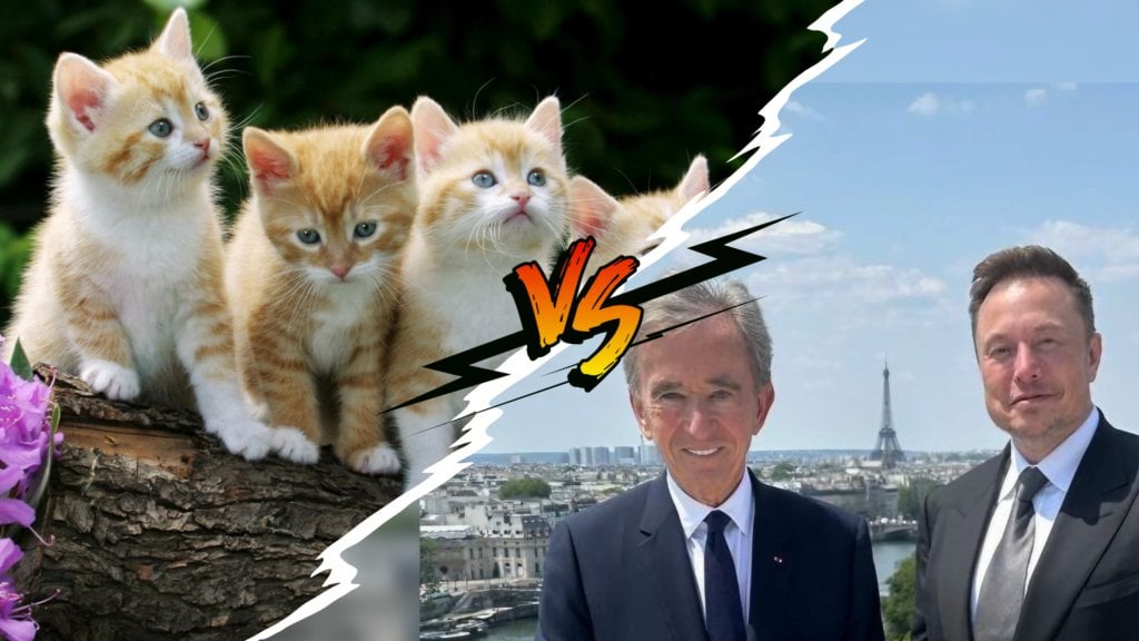 Nos chats sont-ils des terreurs écologiques ? - Frustration Magazine