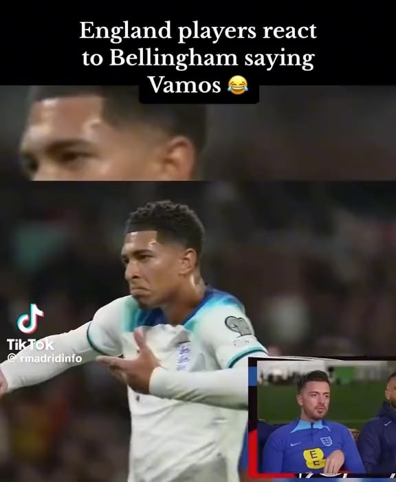 “Vamos” seems to be their trigger word