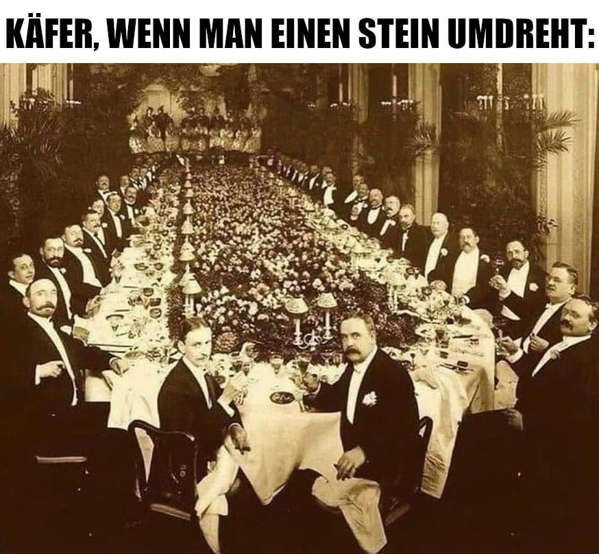 In den Regeln steht nichts von einem Meme-Verbot…