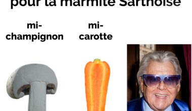 Réf de vieux