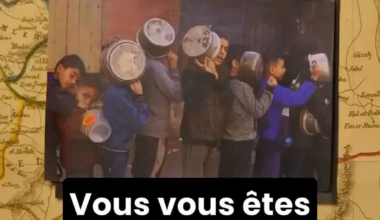 L'endoctrinement des enfants et jeunes israéliens rend possible le massacre (traduction de la vidéo de Uncivilized Media https://twitter.com/uncivilmedia)