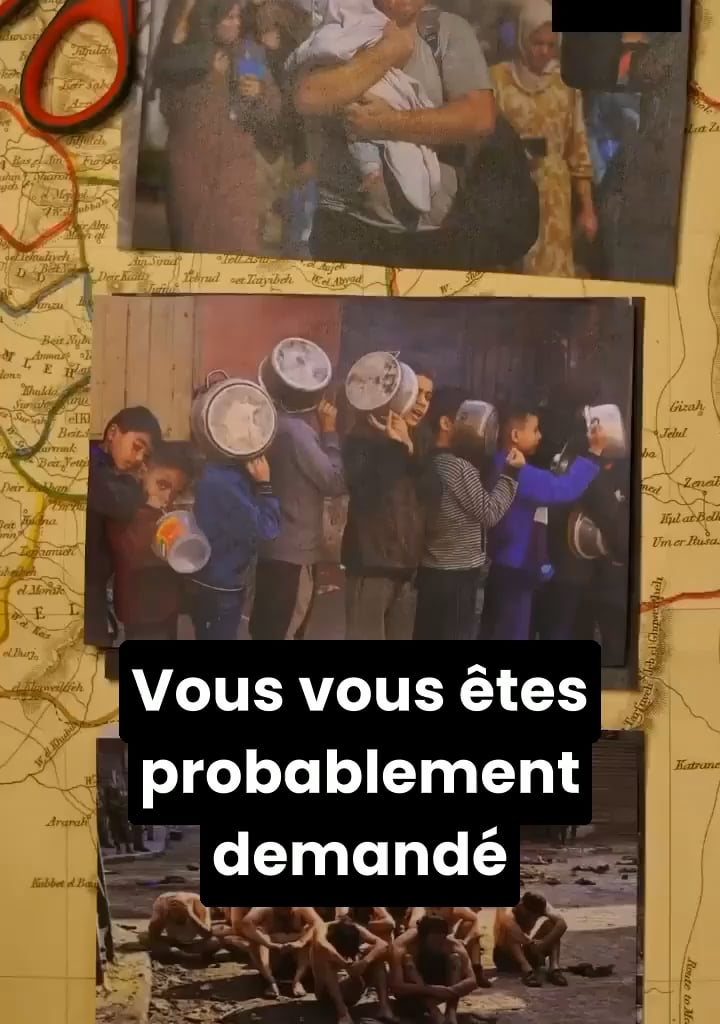 L'endoctrinement des enfants et jeunes israéliens rend possible le massacre (traduction de la vidéo de Uncivilized Media https://twitter.com/uncivilmedia)