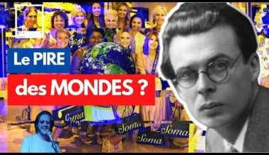 Comment INTERNET nous a transformés en SCARABÉES 🪲