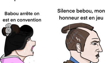 Meme journalier