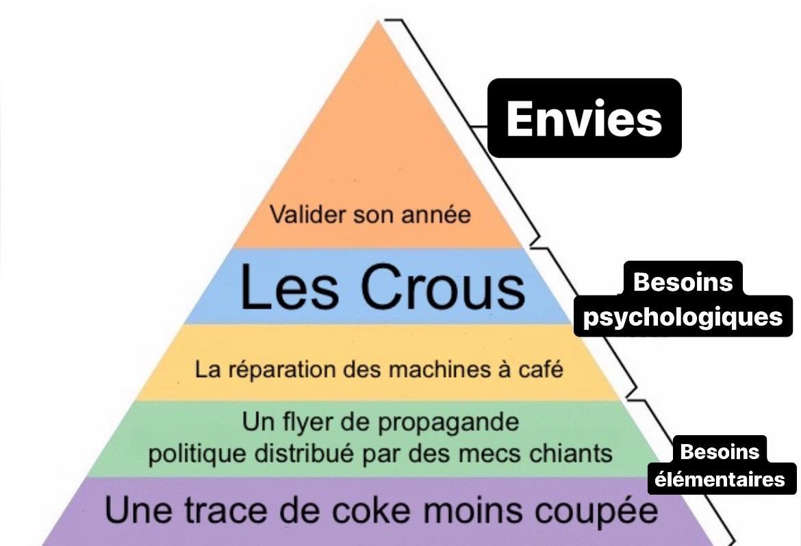 Les besoins de l’étudiant rançais