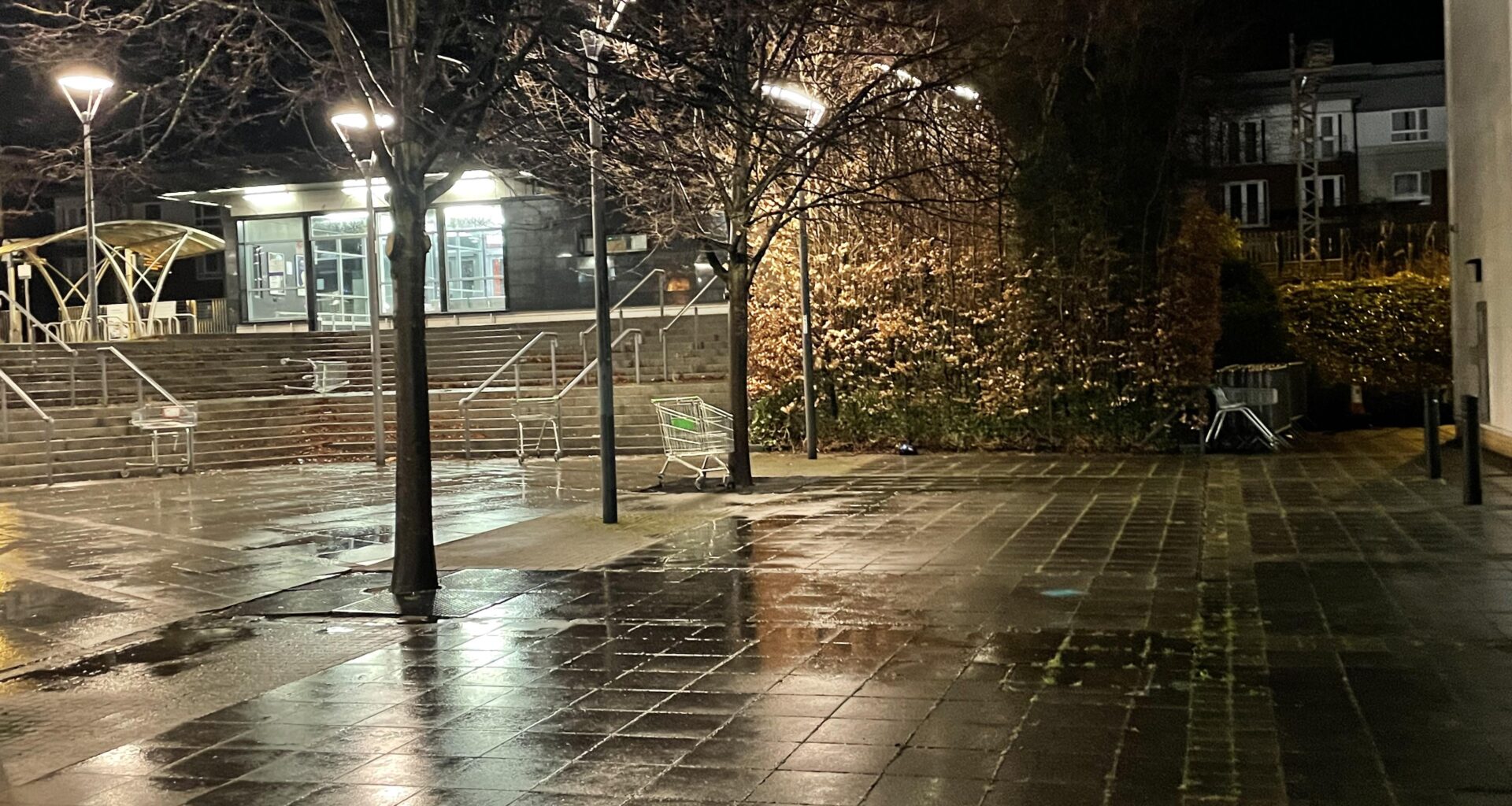 Thanks to the wind, the supermarket trolleys are returning to the wild