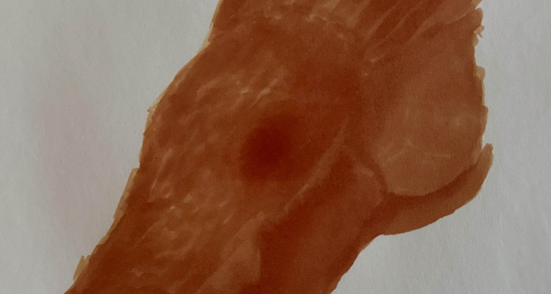 What animal's head do you see?