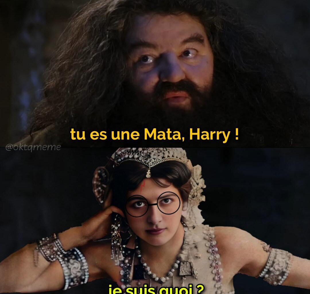 Meta Harry