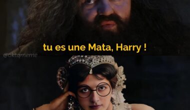Meta Harry