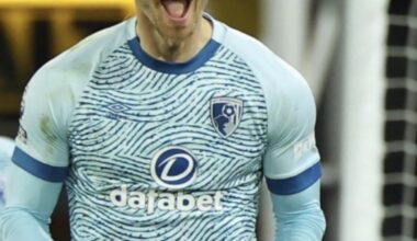 🚨Southampton, Leeds united, Birmingham city, West Brom, Middlesbrough, Cardiff city, Sunderland and Ipswich Town are in the race to sign AFC Bournemouth Striker Kieffer Moore. @ppltransfers on twitter